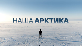 Американские горки